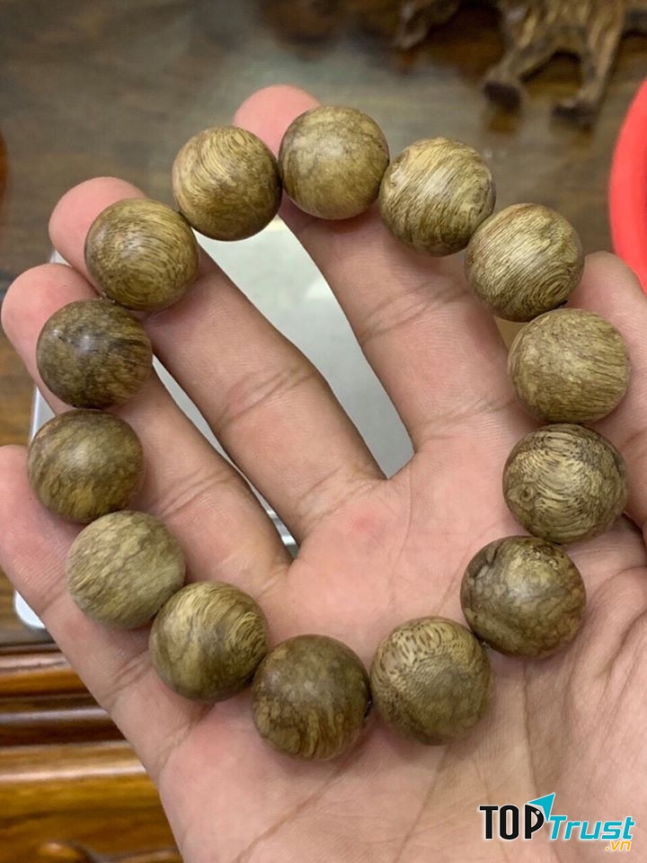 HADICA - Quà tặng phong thủy hàng hiếm & độc