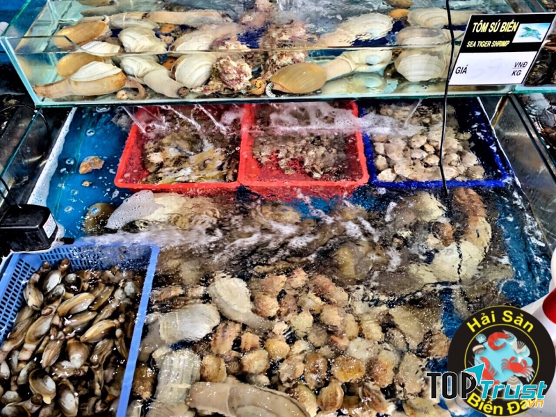 Hải Sản Biển Đảo