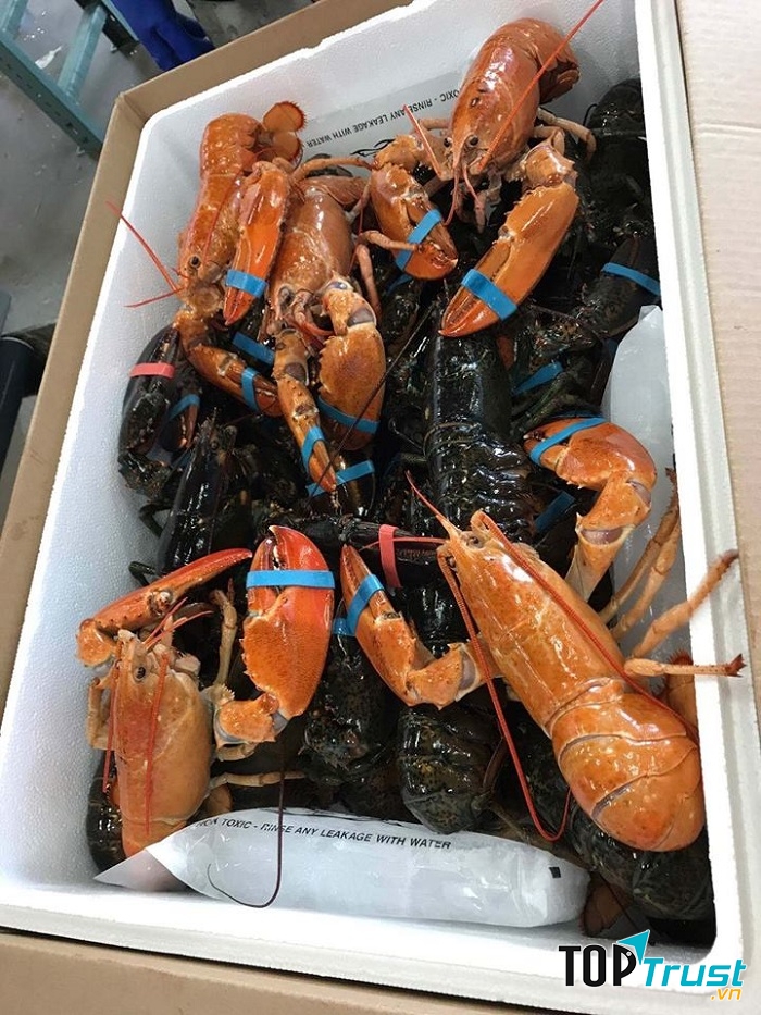HẢI SẢN HOÀNG LONG
