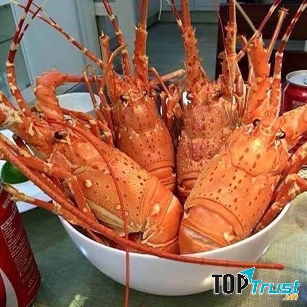 Hải Sản Thời Cổ - Võ Nguyên Giáp