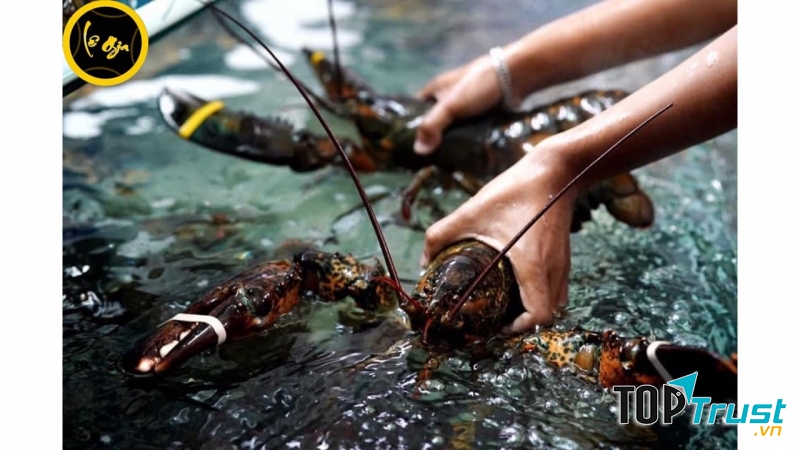 Hải Sản Tươi Sống Lê Gia