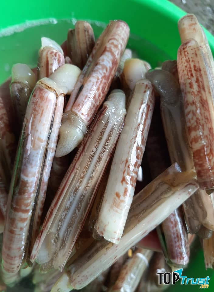 HẢI SẢN TƯƠI SỐNG NGUYÊN ANH