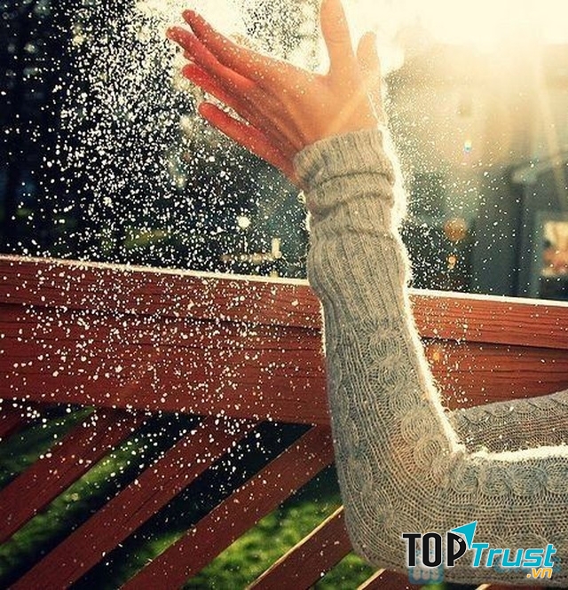 Hải thượng phồn hoa