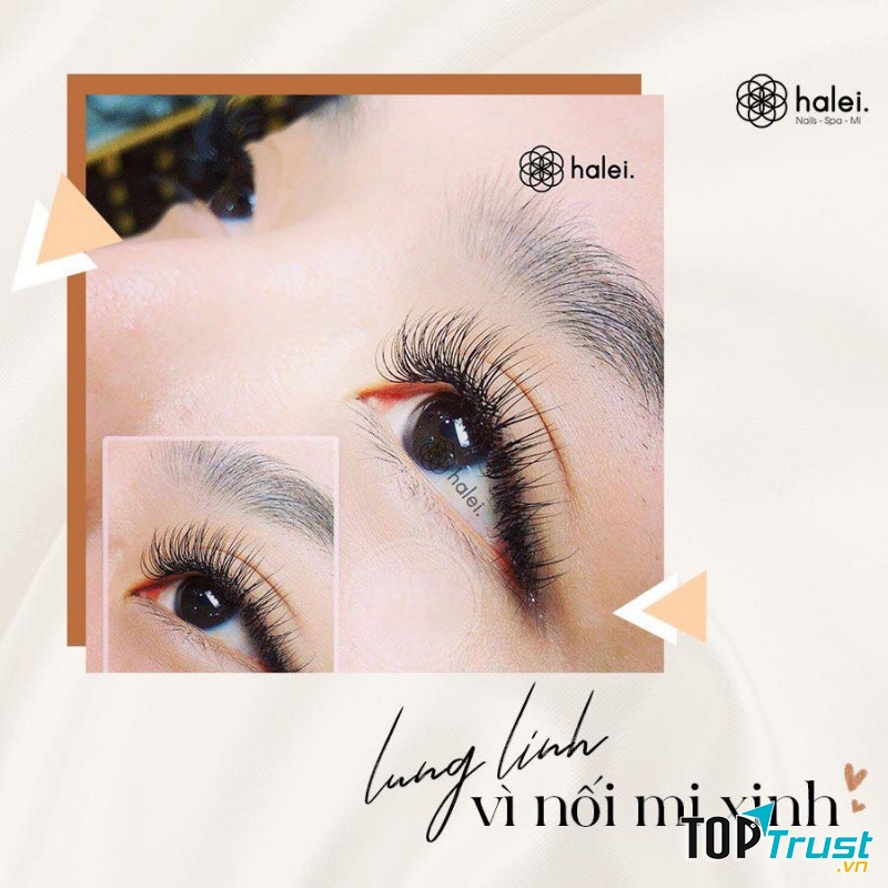 Halei Trần Quốc Vượng