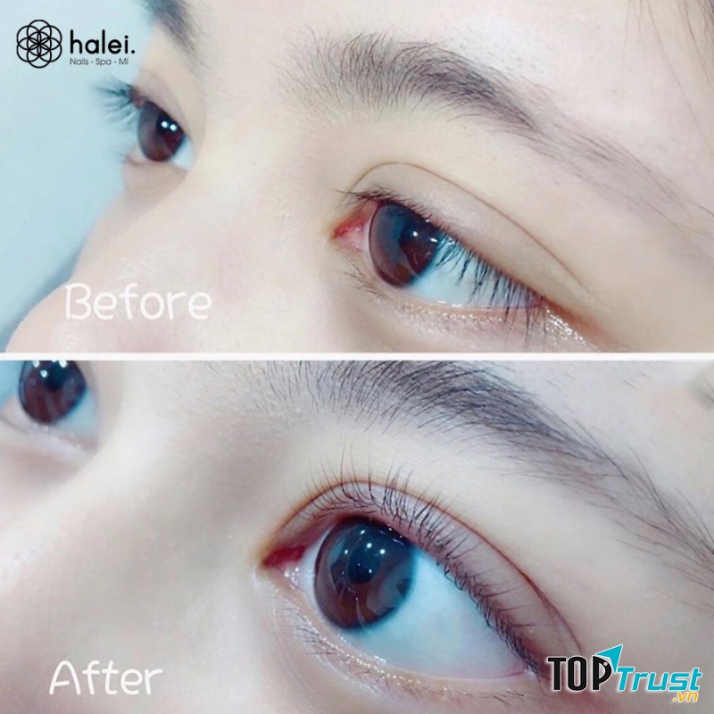 Halei Trần Quốc Vượng