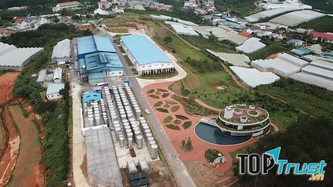 Hầm rượu vang Ladofoods