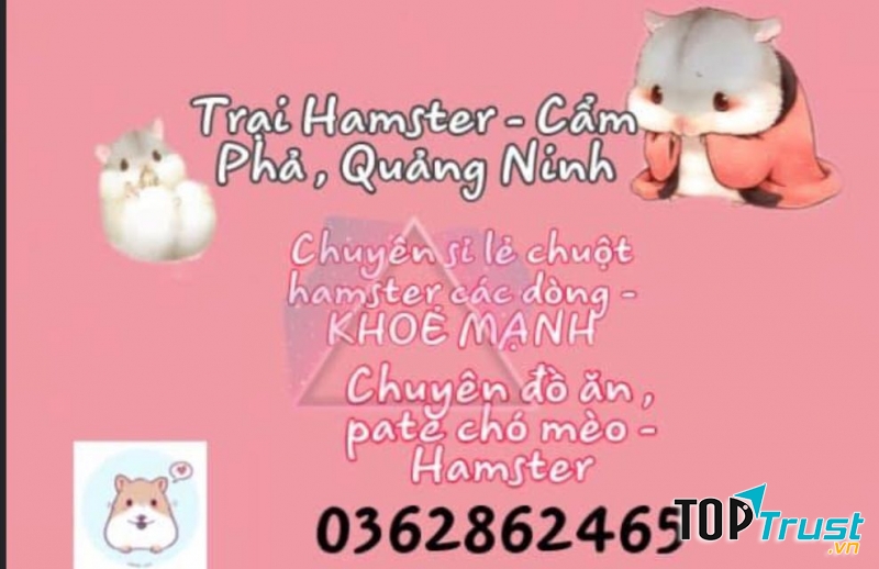 Hamster - Cẩm Phả, Quảng Ninh