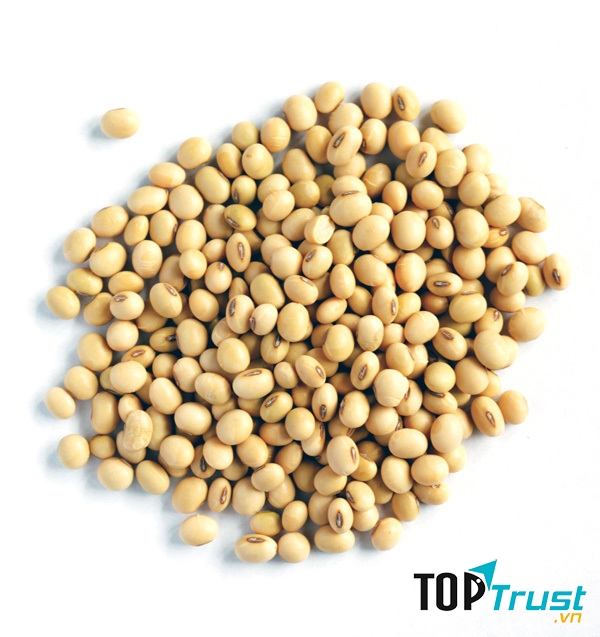 Ảnh minh họa - nguồn internet