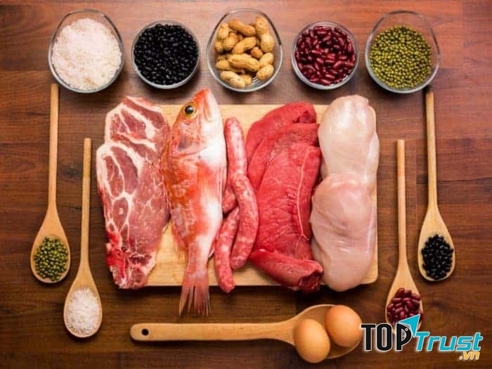 Hạn chế protein động vật