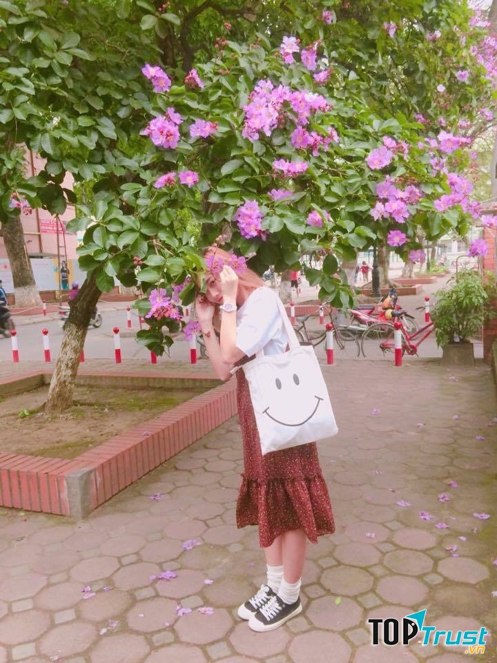 Những chùm hoa bằng lăng tim tím dịu dàng.