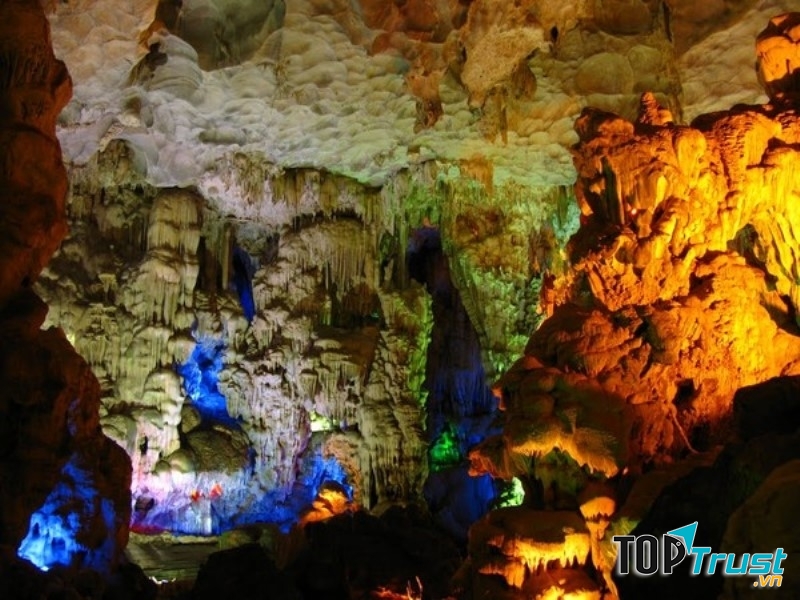 Hang Đầu Gỗ