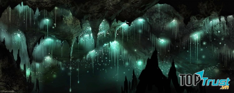 Hang động đom đóm Waitomo Glowworm (New Zealand)