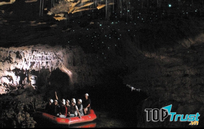 Hang động Waitomo Glowworm
