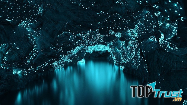 Hang động Waitomo Glowworm - Bầu trời sao huyền ảo dưới lòng đất