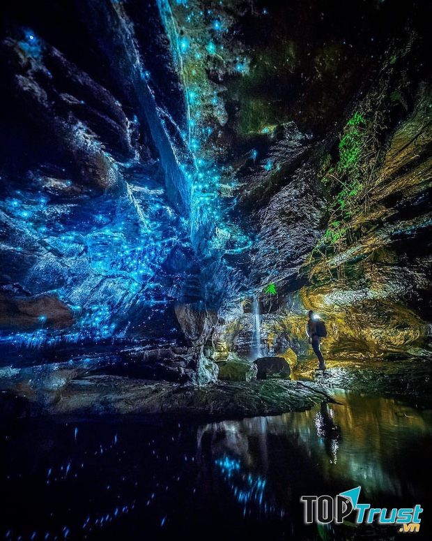 Hang động Waitomo Glowworm - Bầu trời sao huyền ảo dưới lòng đất