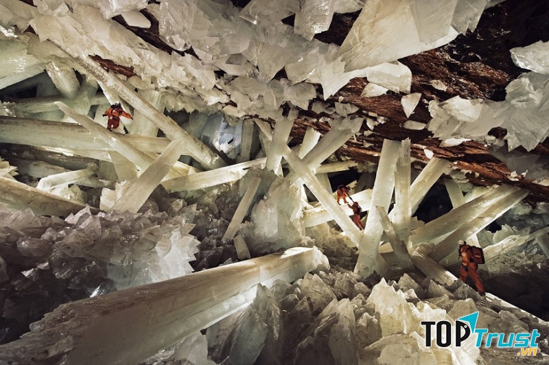 Hang pha lê Naica mine, Mexico