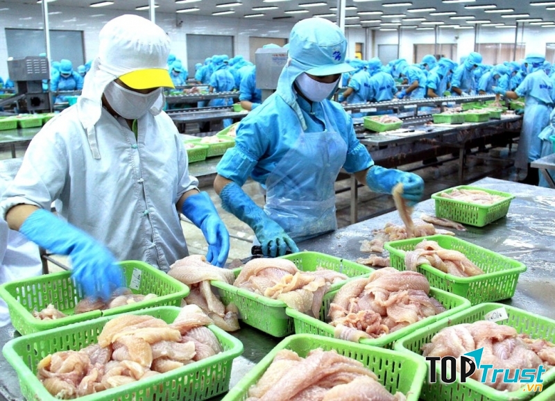 Cơ sở chế biến hàng thủy sản xuất khẩu