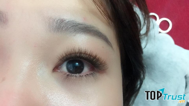 Hằng Trần Nối Mi