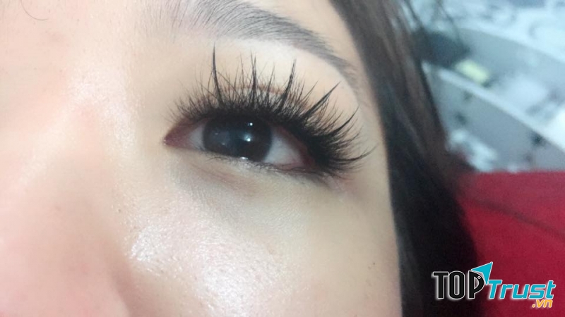 Hằng Trần Nối Mi