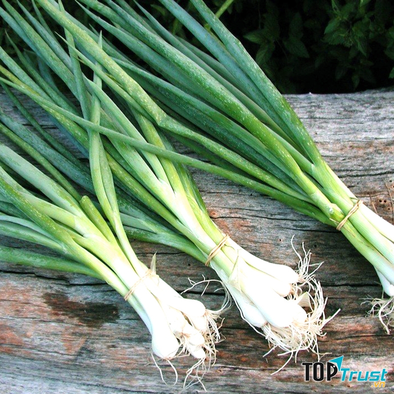 Ảnh minh họa - nguồn internet