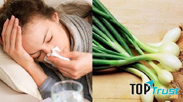 Hành hoa tốt cho sức khoẻ