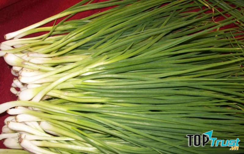 Hành lá chứa chất chống oxy hoá