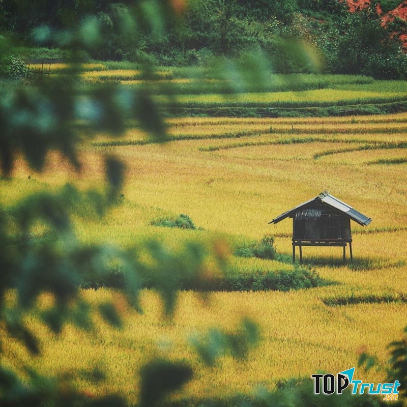 Đã đến Mù Cang Chải thì đừng quên mang theo máy ảnh nhé, nếu không các bạn sẽ bỏ lỡ nhiều điều thú vị đấy.
