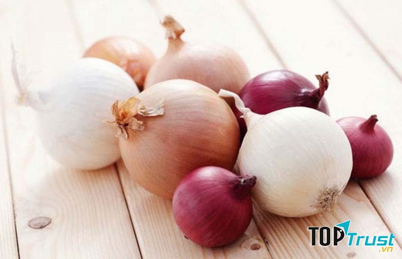 Hành tây ngăn chặn tế bào ung thư phổi phát triển