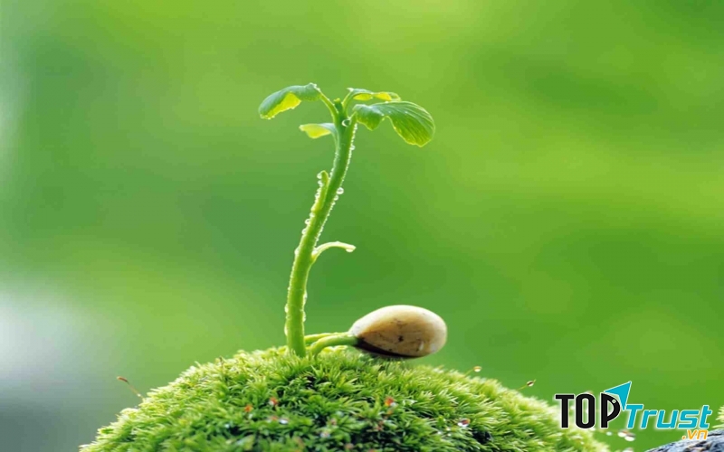 Hao tổn tâm lực để chú ý người khác sao bằng dành chút tâm lực phản tỉnh bản thân?