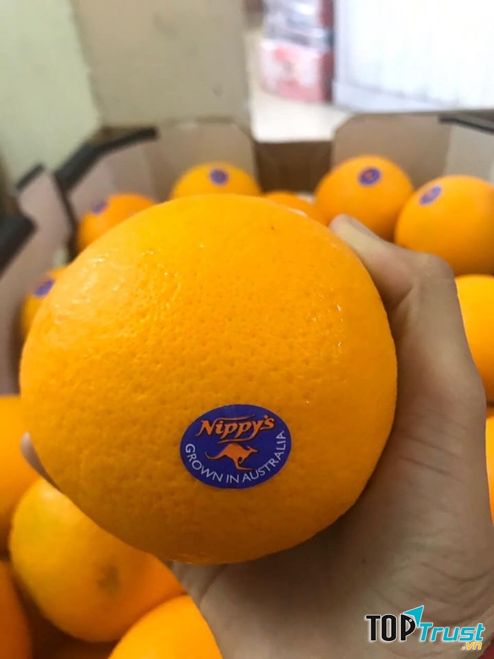 Hapi Fruit - Trái Cây Nhập Khẩu