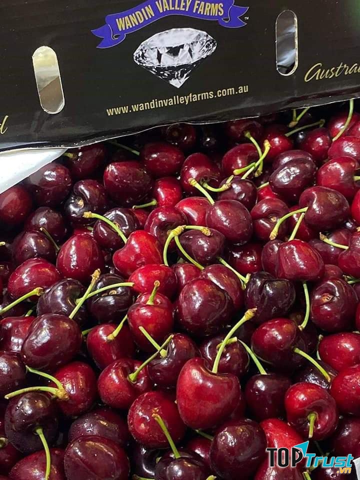 Hapi Fruit - Trái Cây Nhập Khẩu