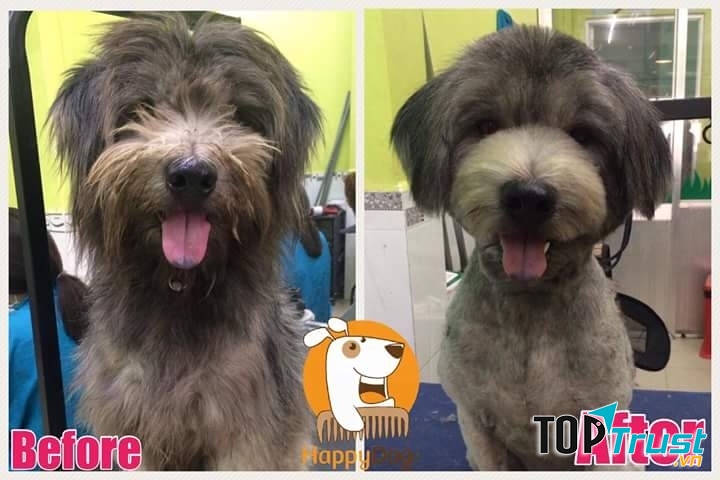 Happy Dog - Dog Grooming and Spa