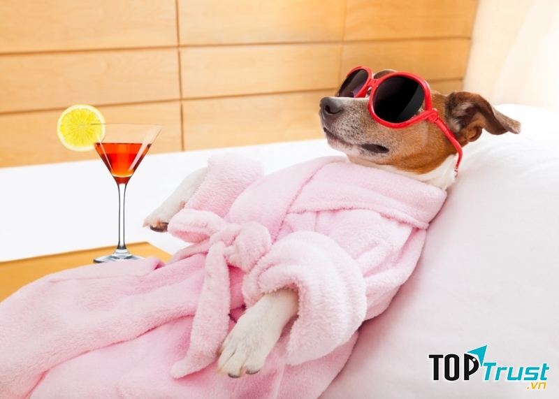 Dịch vụ tắm - massage thư giãn