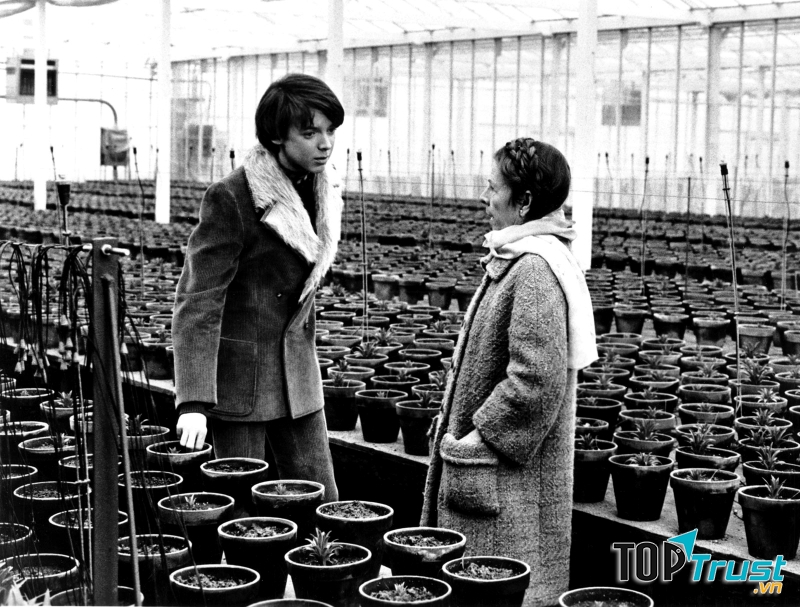 Harold and Maude – Hal Ashby (1971)