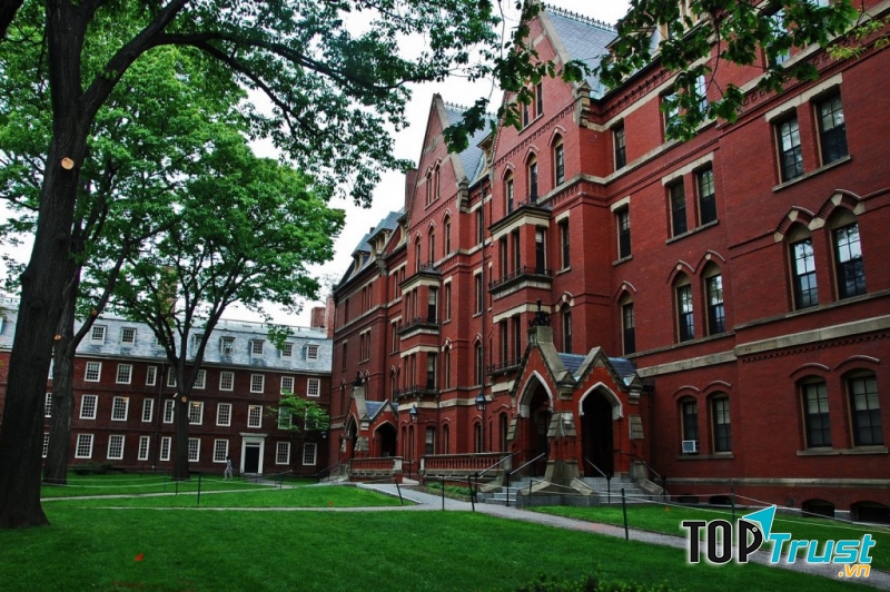 Harvard University