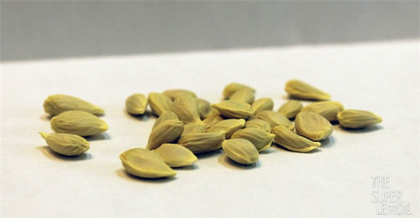 Ảnh minh họa - nguồn internet