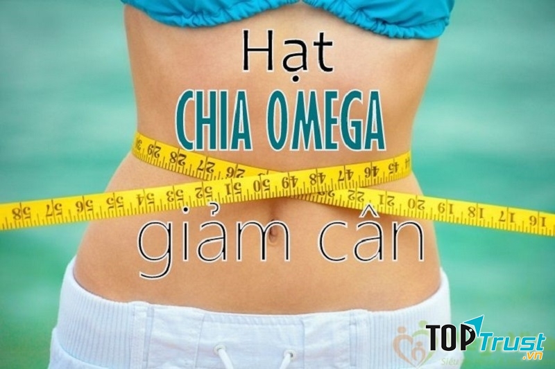 Hạt Chia có khả năng giảm cân hiệu quả, tạo cảm giác no nhanh và giúp hệ tiêu hóa hoạt động hiệu quả hơn.