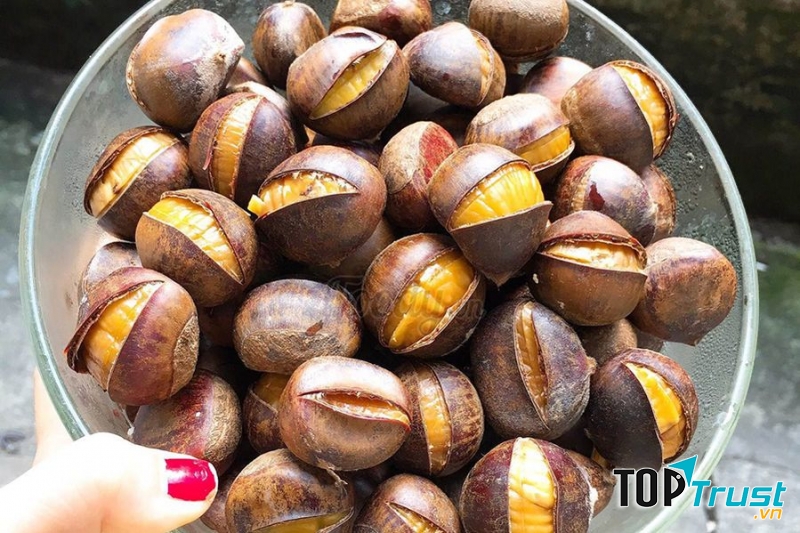 Hạt dẻ Trùng Khánh