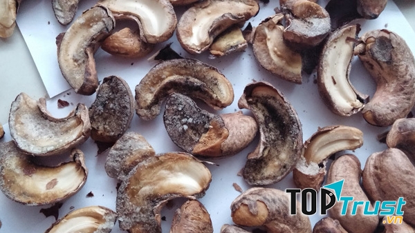 Hạt điều bị mốc