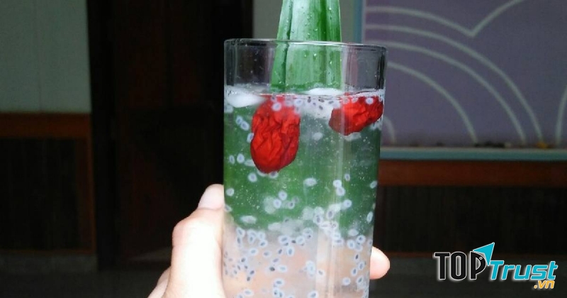 Hạt é thốt nốt mủ trôm