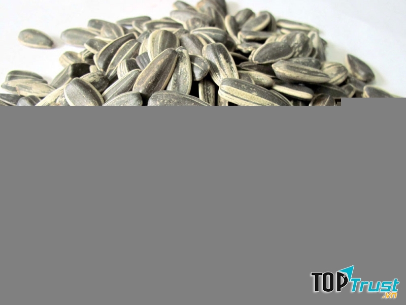 Hạt hướng dương là 1 loại thức ăn vặt rất được yêu thích