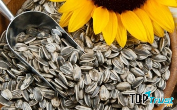 Bà bầu nên ăn hạt hướng dương