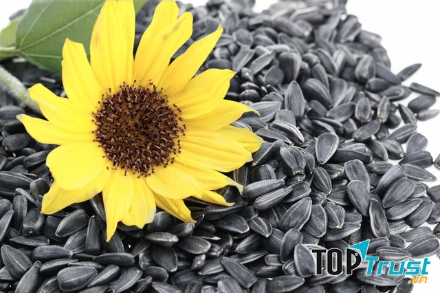 Hạt hướng dương