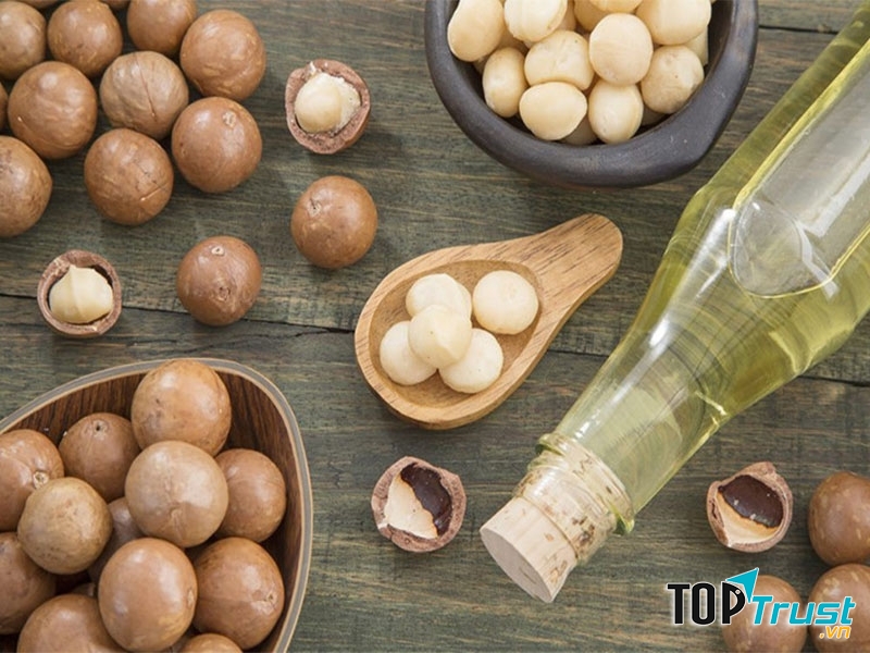 Hạt Macca có rất nhiều dinh dưỡng cho bé