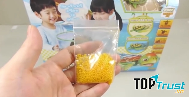 Hạt nhựa nở trước khi ngâm nước