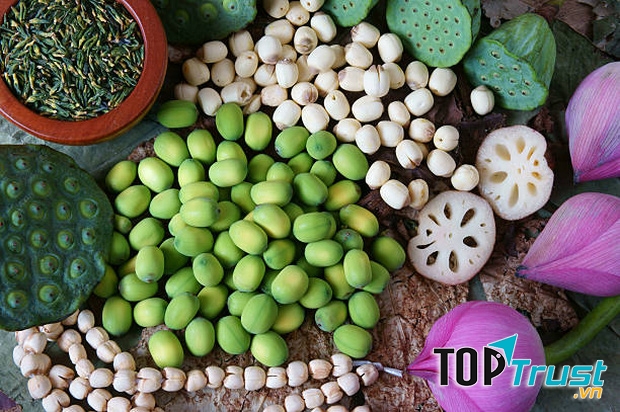 Hạt sen tốt cho trí nhớ.