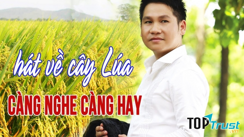 Hát về cây lúa hôm nay