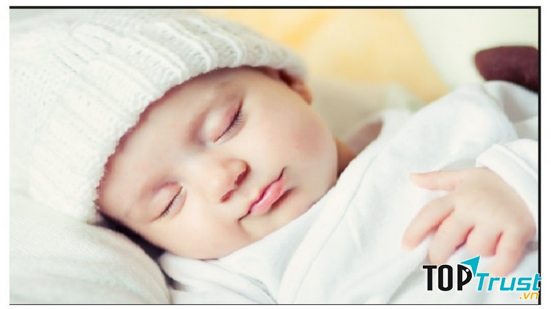 Ngủ chiếm hầu hết thời gian trong ngày