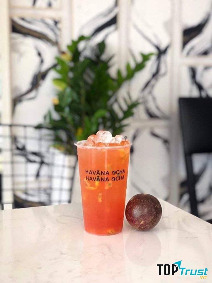 Havana Ocha Bạc Liêu
