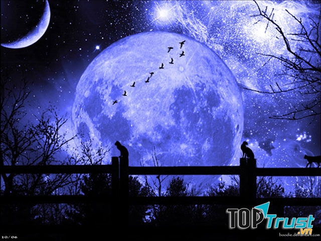 Hãy Nhập Hồn Em